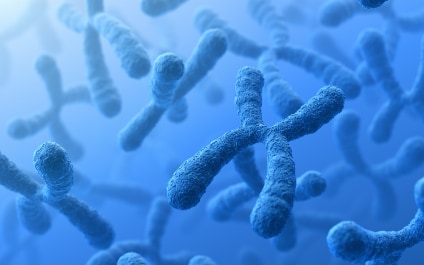 ทำความรู้จักกับ Telomere เคล็ดลับสู่ความอ่อนเยาว์